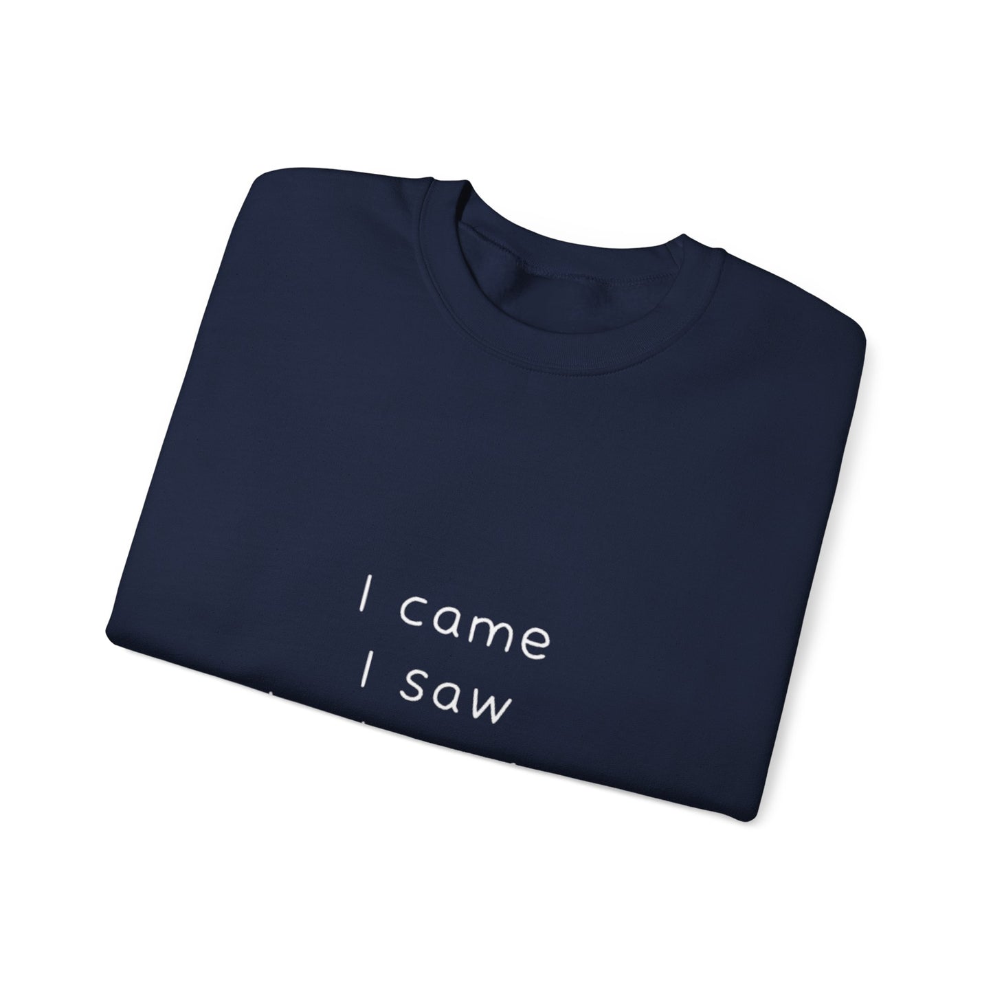 I Came I Saw I Had Anxiety So I Left Sweatshirt