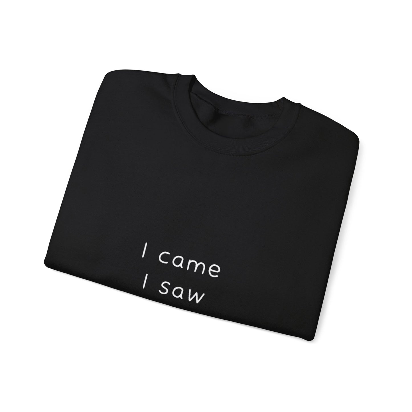 I Came I Saw I Had Anxiety So I Left Sweatshirt