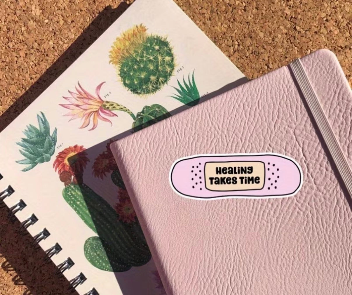 Healing Takes Time Sticker